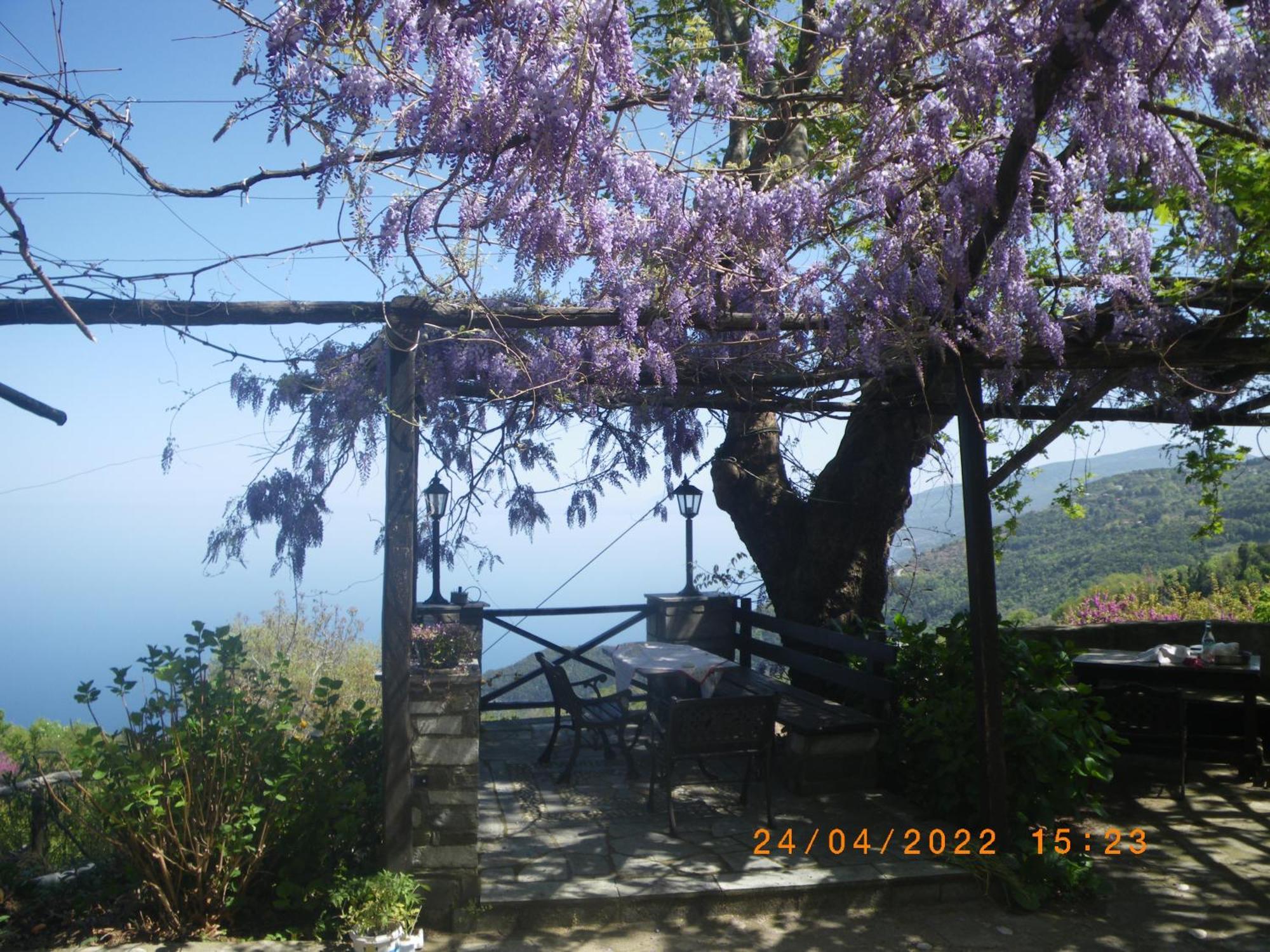 Villa Georgie Tsagkarada Exterior foto