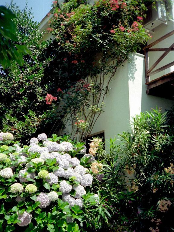 Villa Georgie Tsagkarada Exterior foto